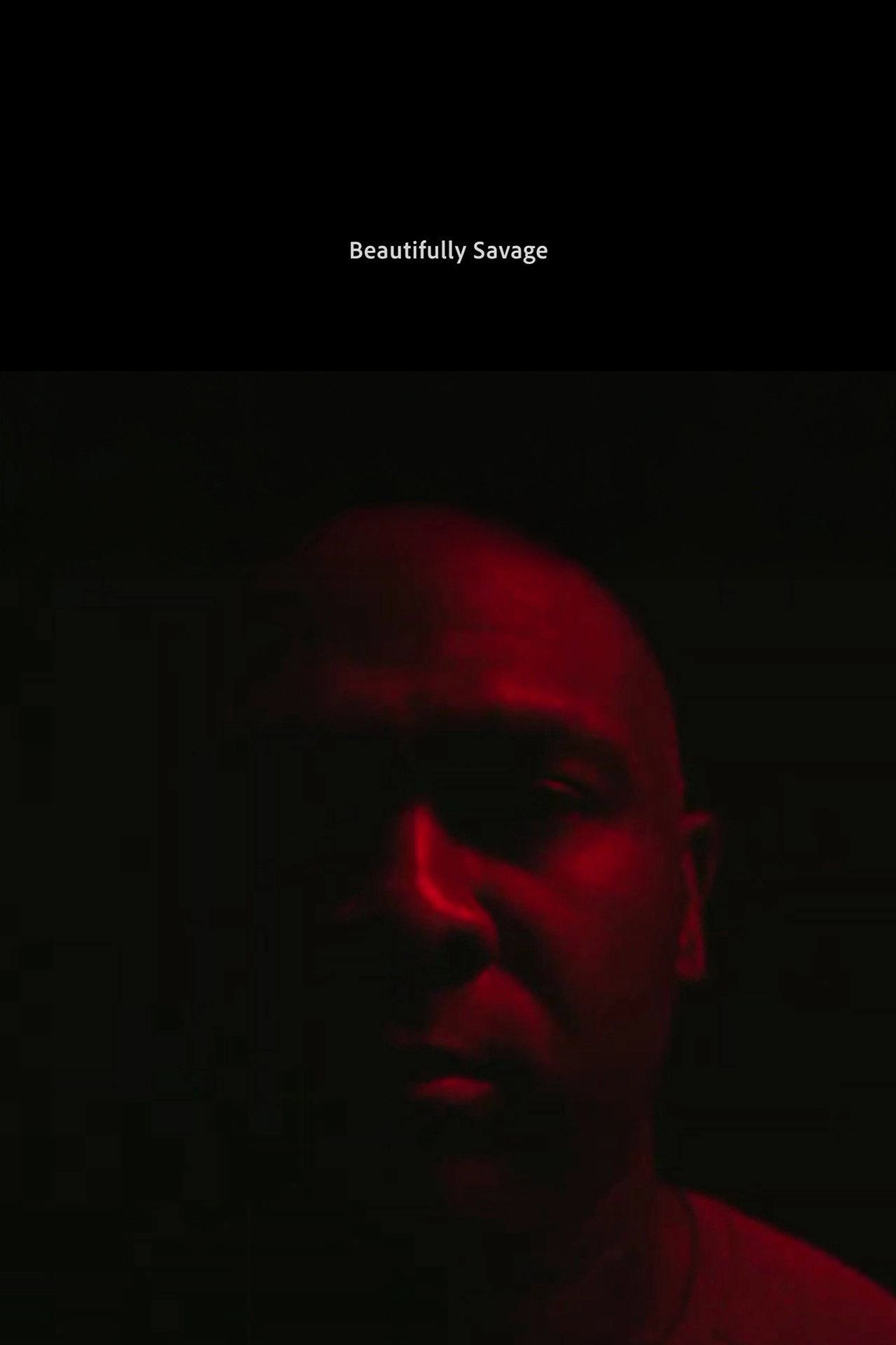 Beautifully Savage