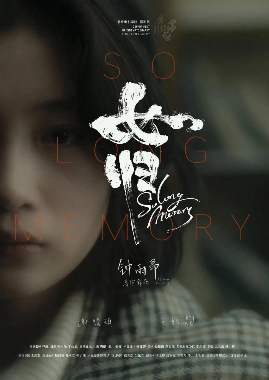 So Long Memory