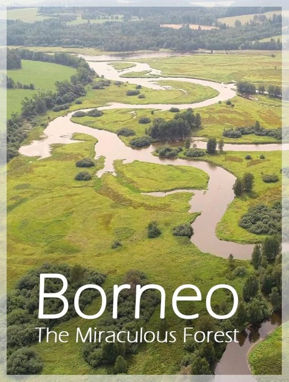 Bornéo, la forêt miraculée