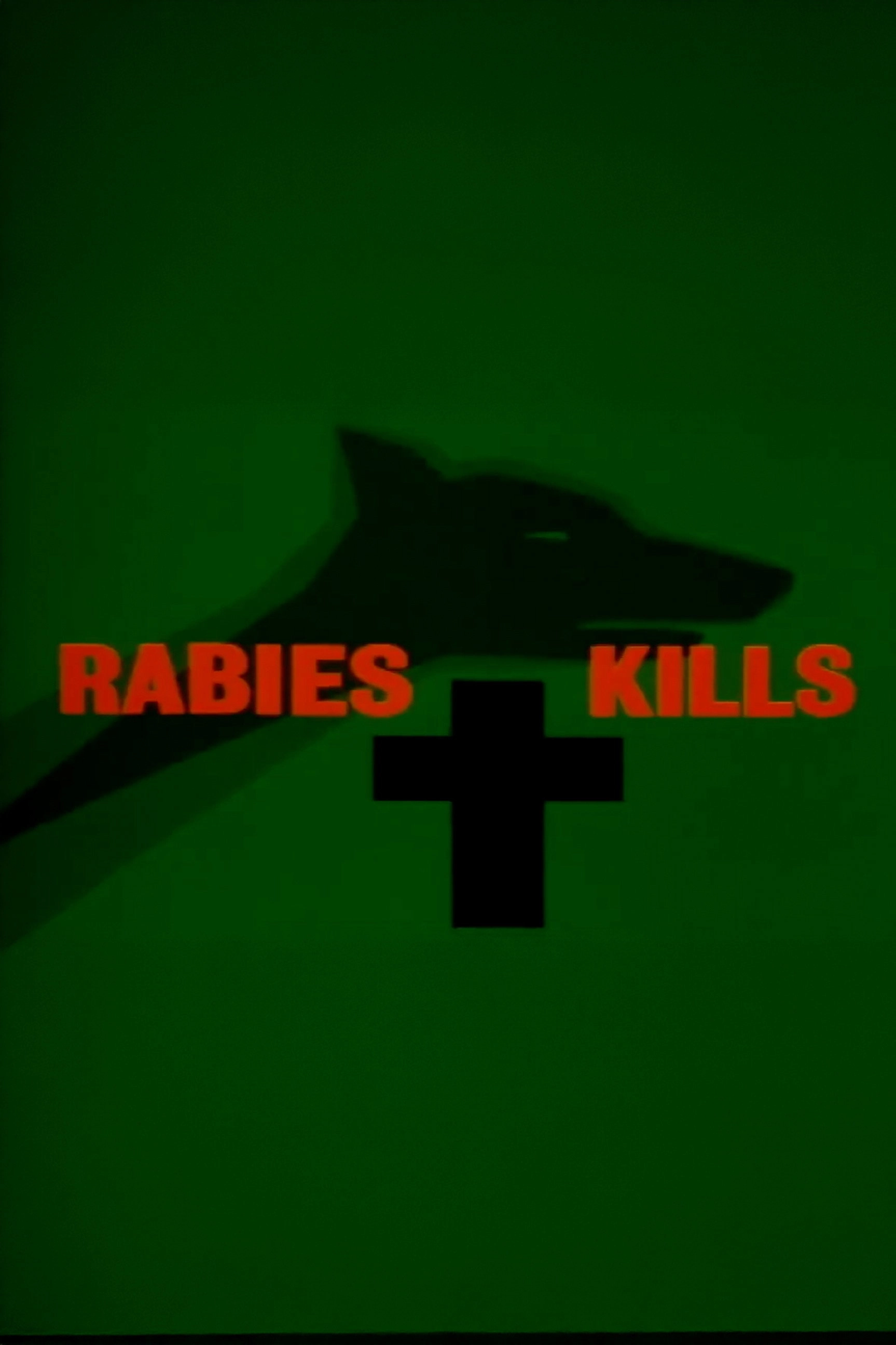 Rabies Advice