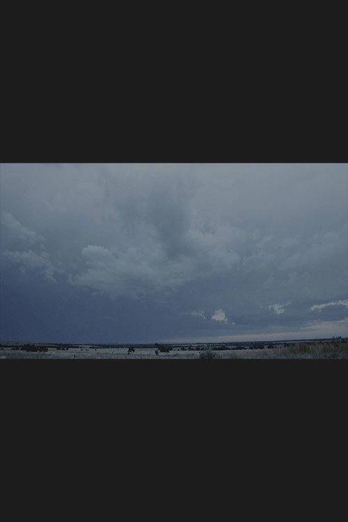 Campo de luz
