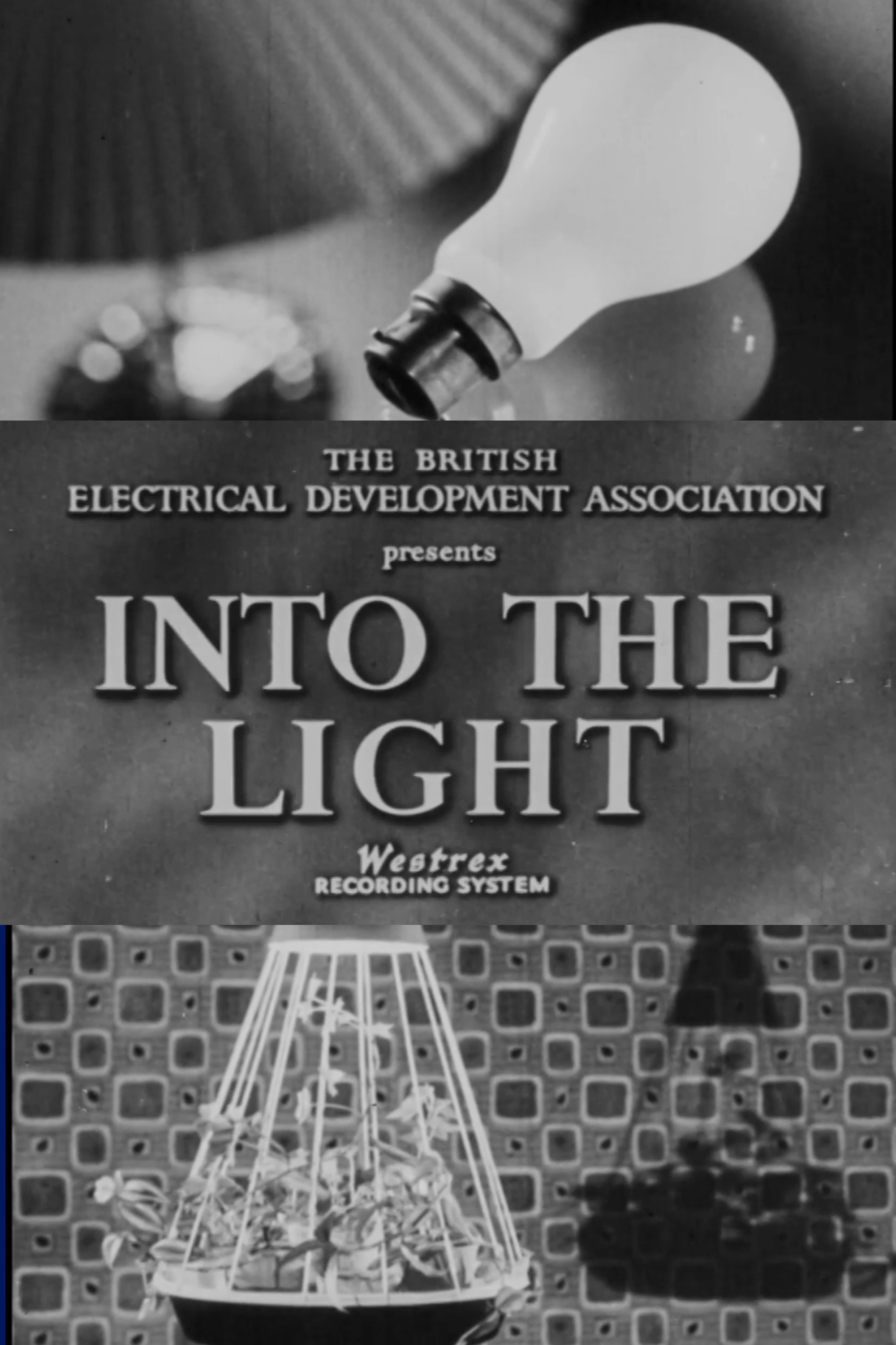 Into the Light
