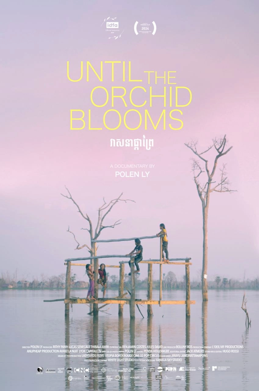 Until the Orchid Blooms