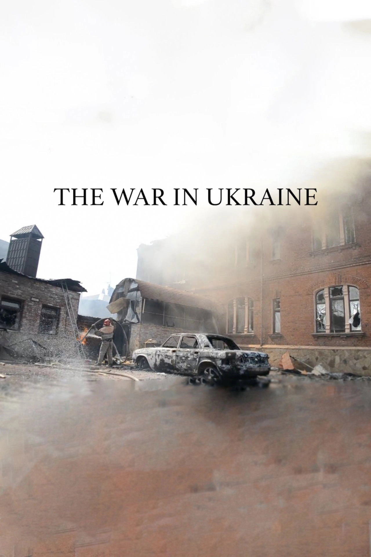 The War in Ukraine