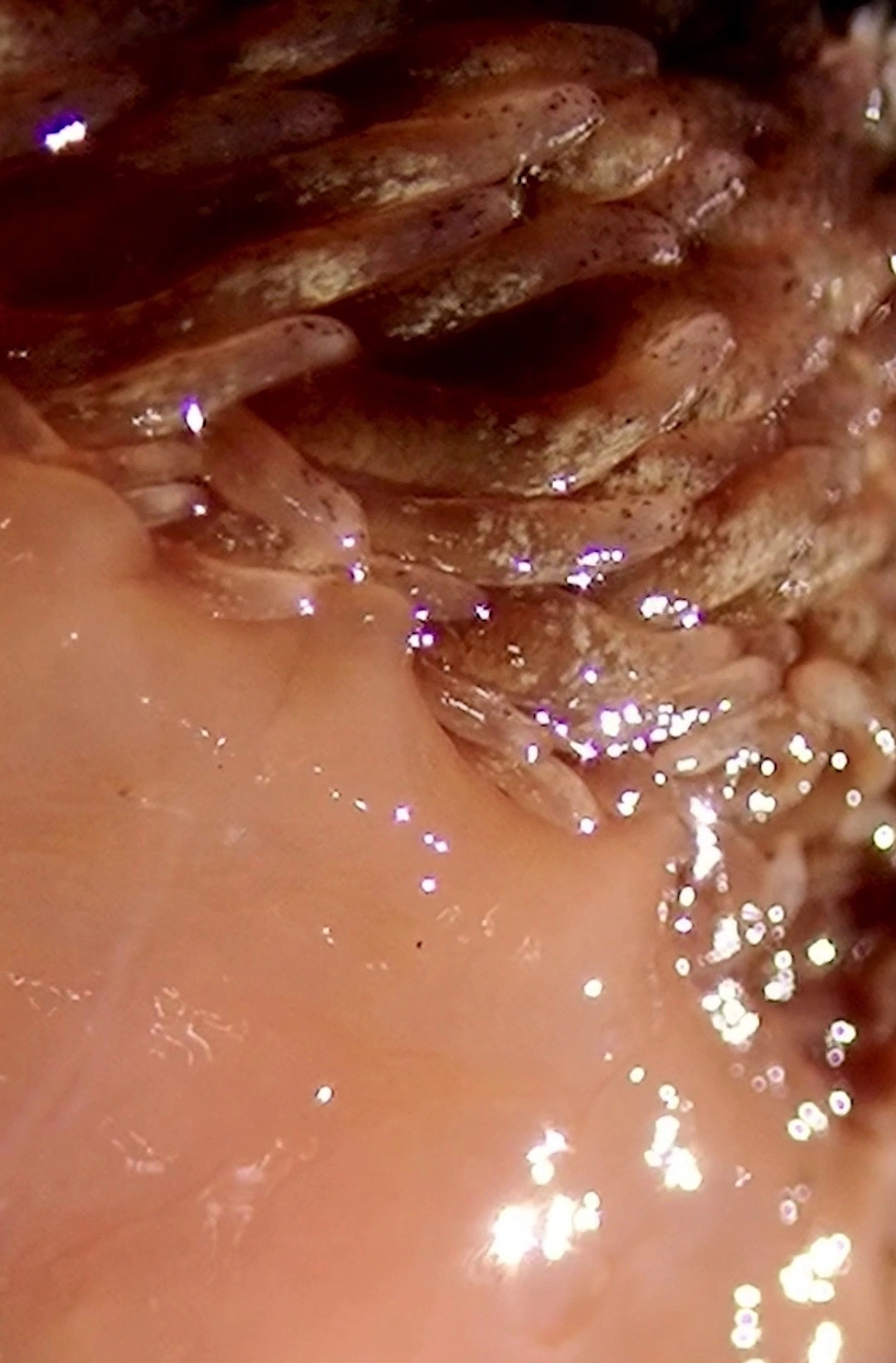 MicroPools