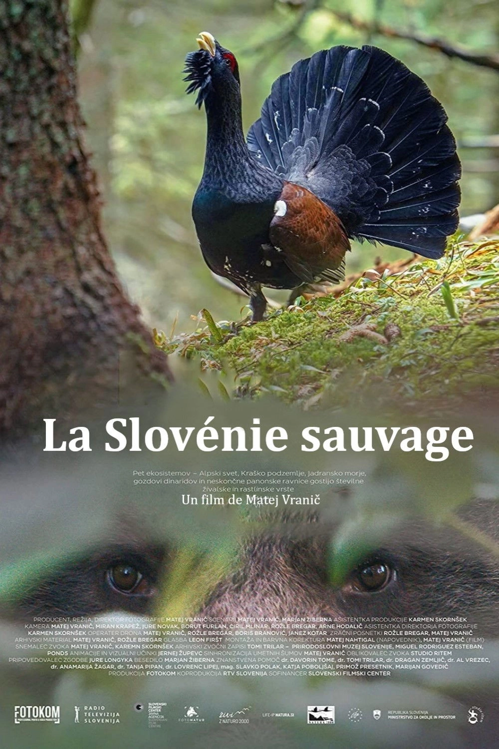 Wild Slovenia