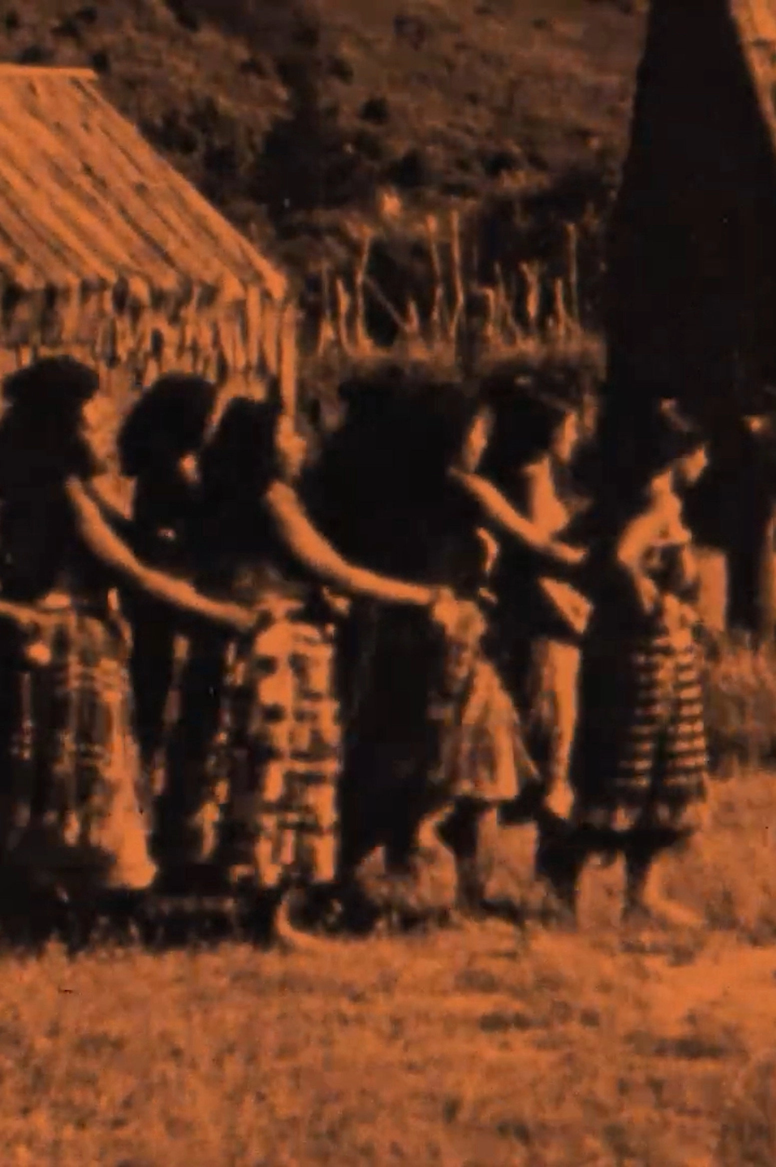 Maori Days