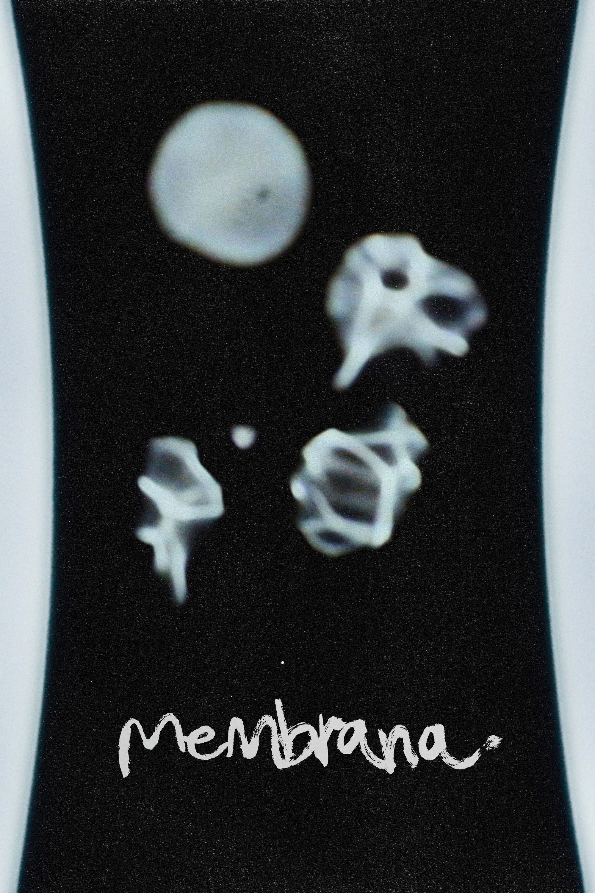 Membrana