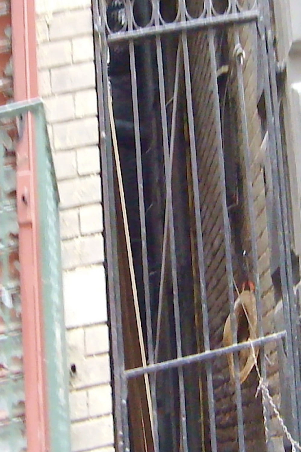 Mosco Street 2