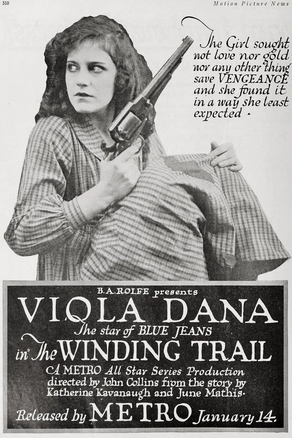 The Winding Trail