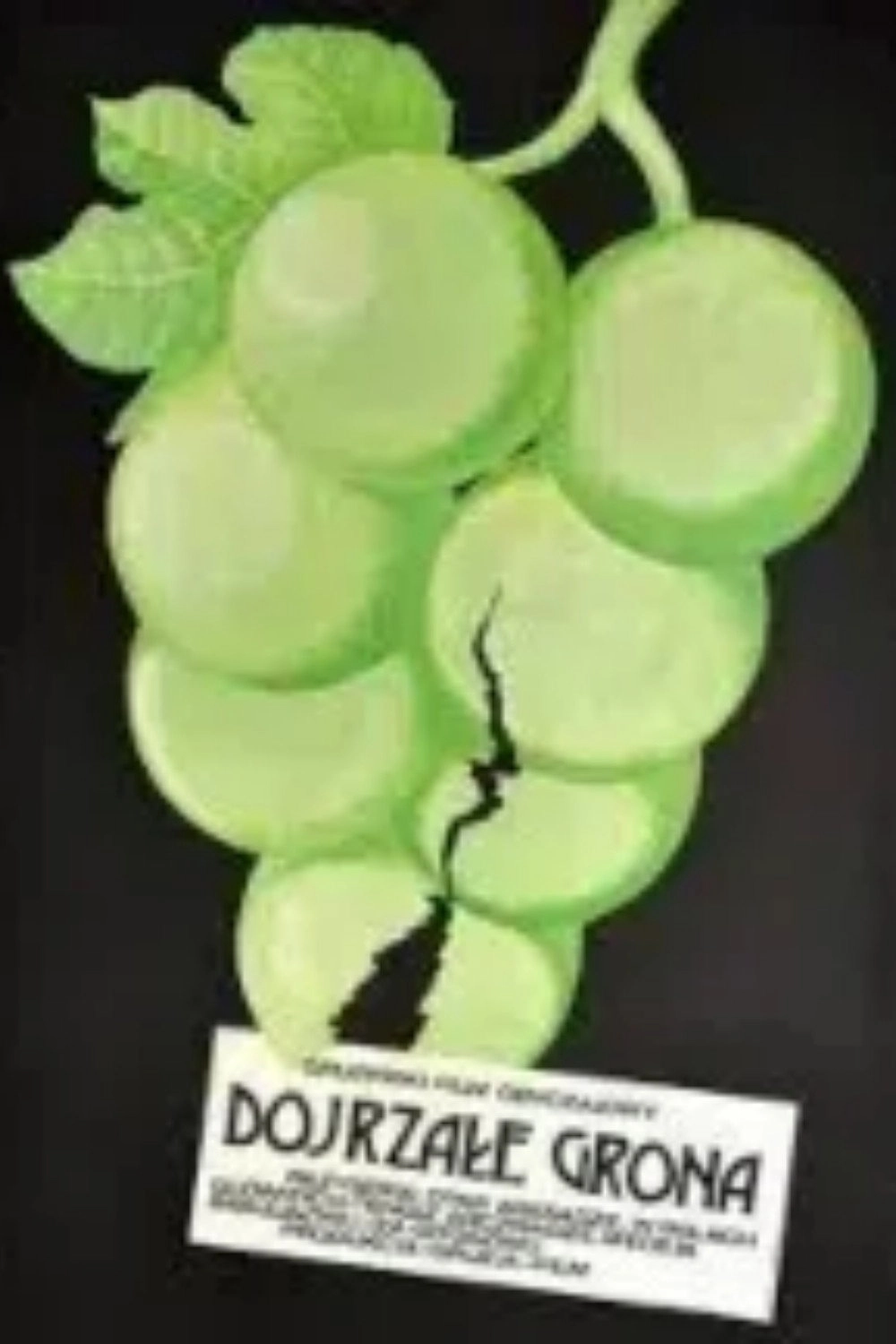 Ripe Bunches