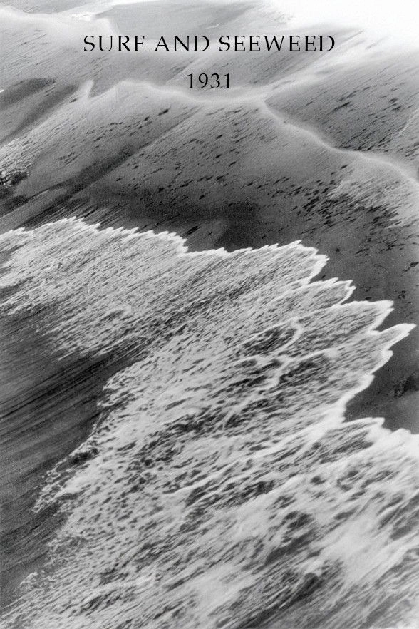 Surf and Seaweed