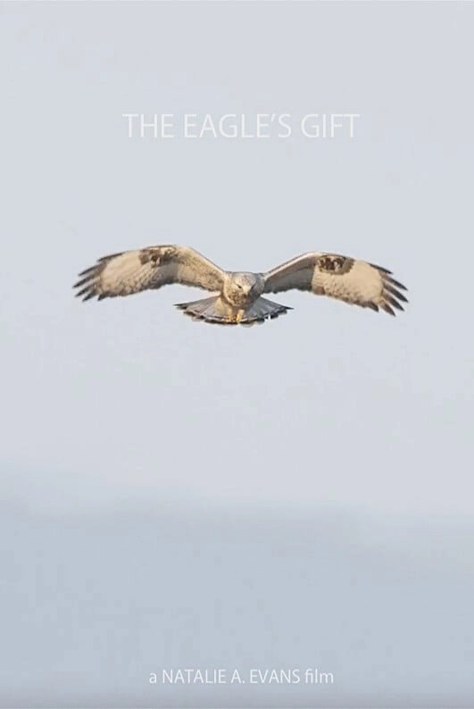 The Eagle's Gift