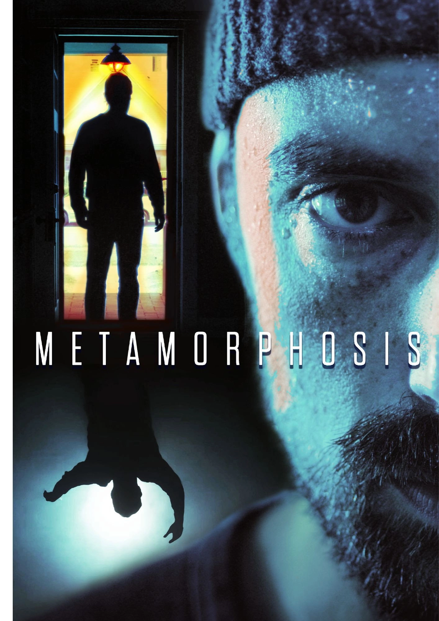 Metamorphosis