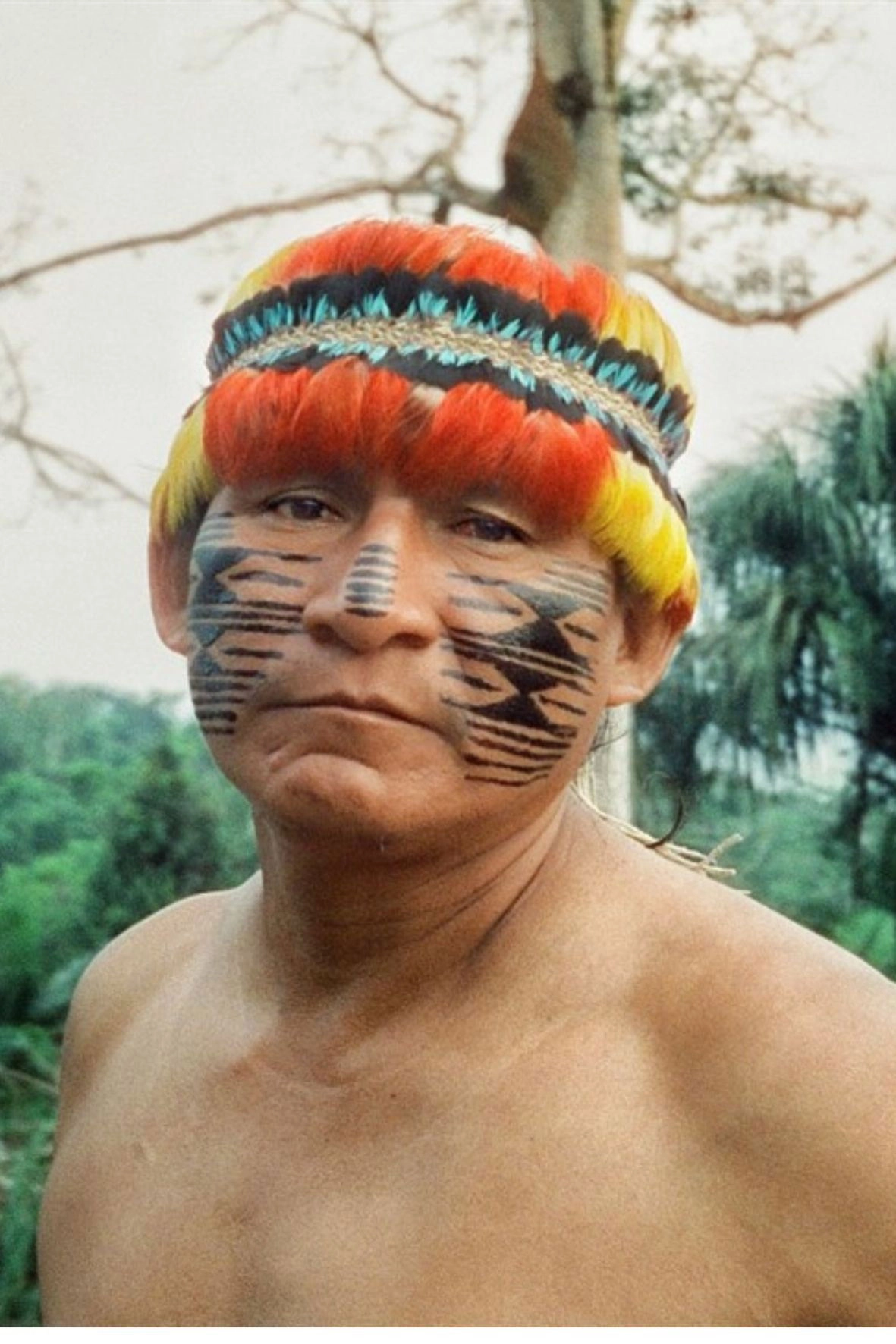 I am the nature