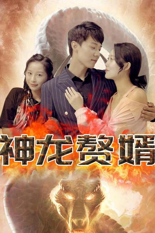 神龙赘婿