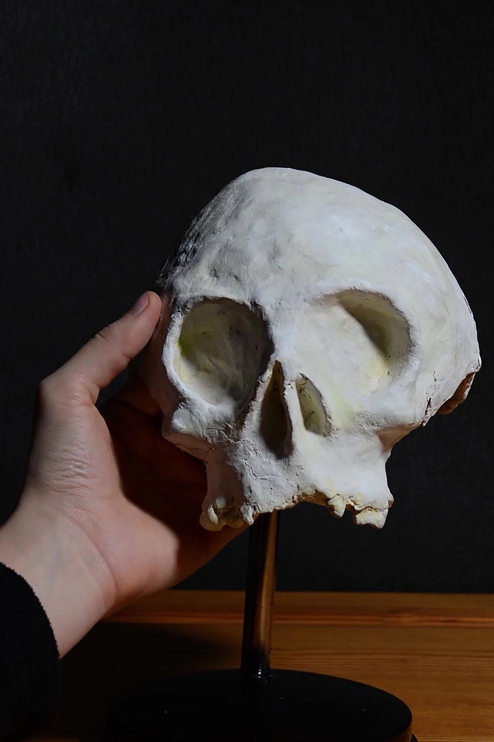 Skull