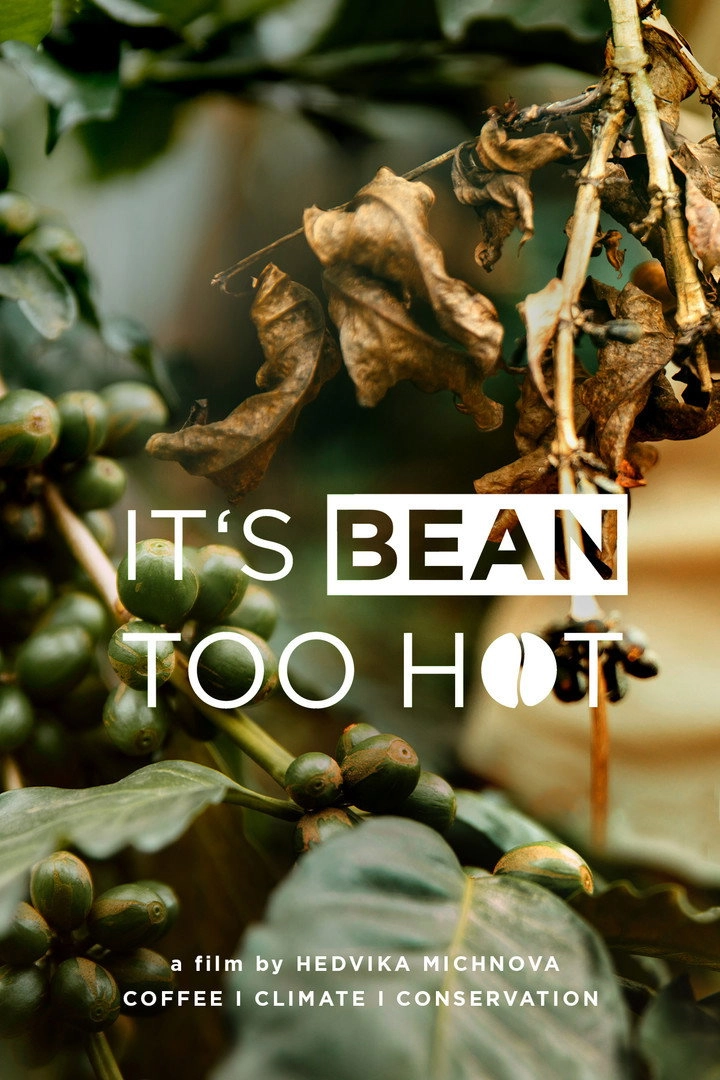 It’s Bean Too Hot