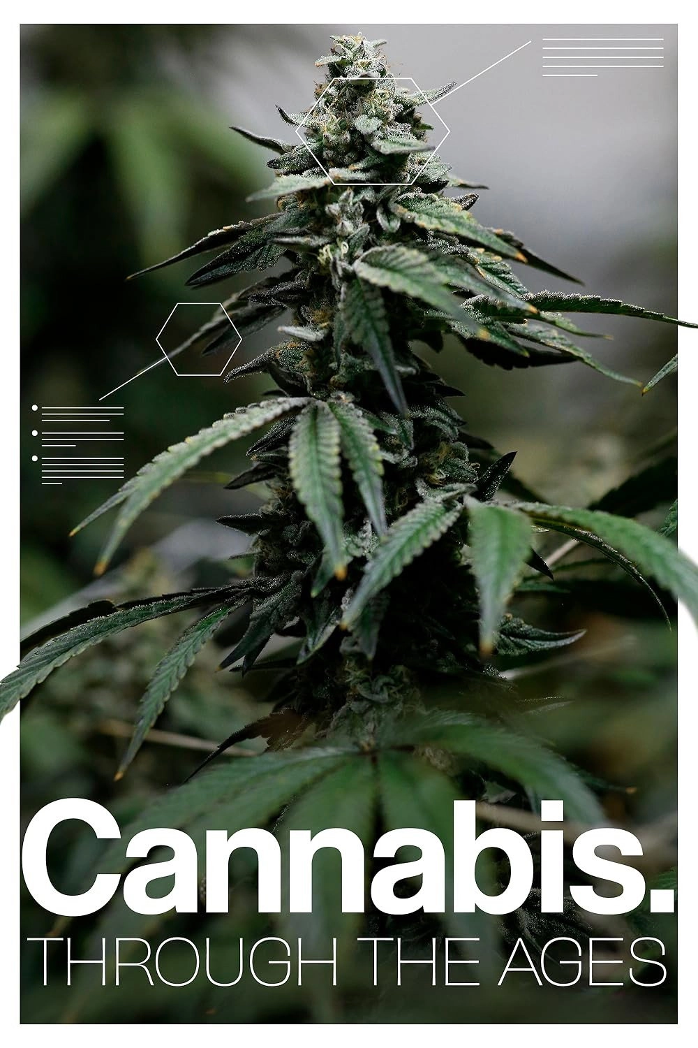 Cannabis: Through the Ages