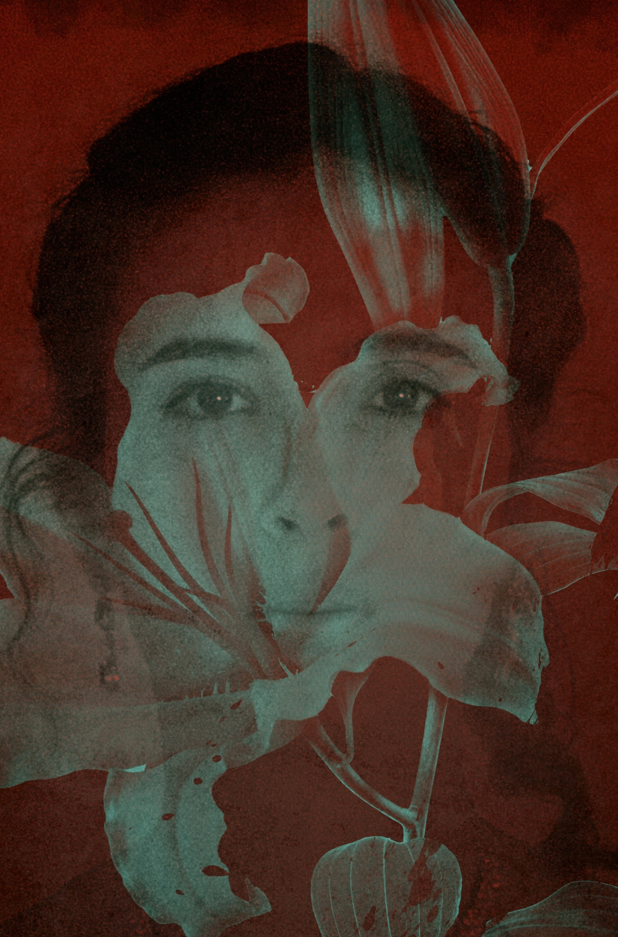 The Wishflower