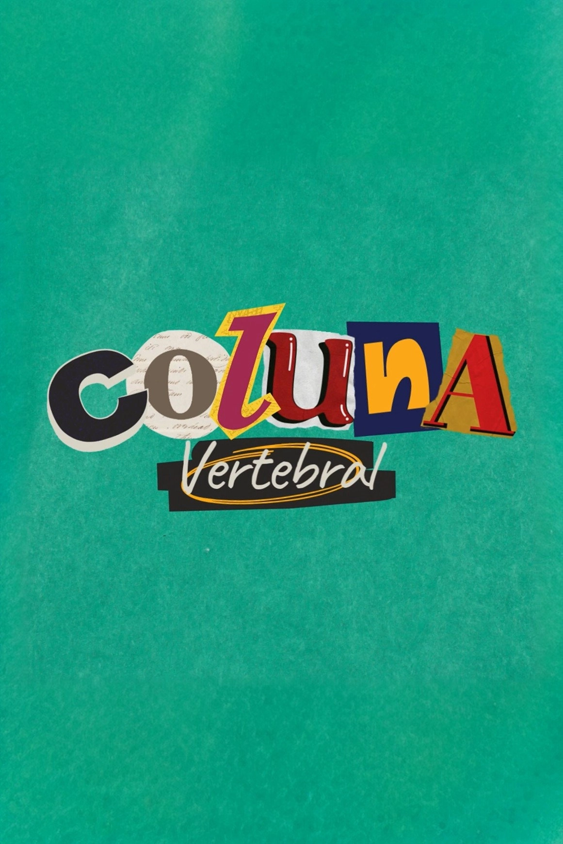 Vertebral Column