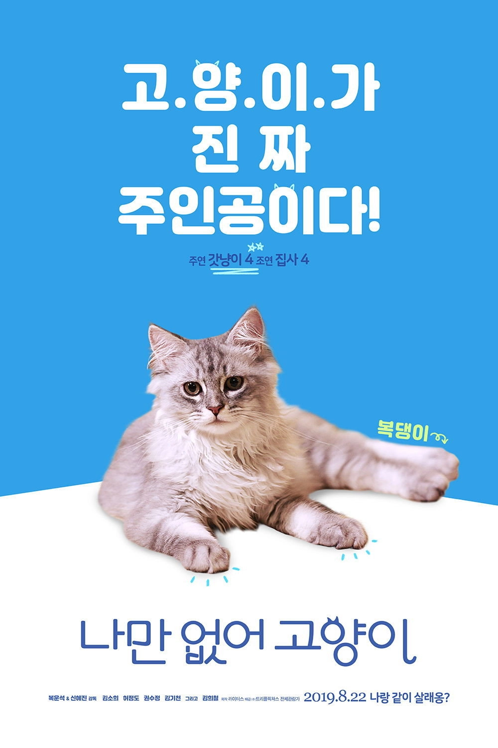 Hello, My Cat