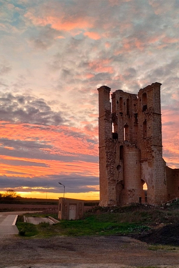Tamariz de Campos