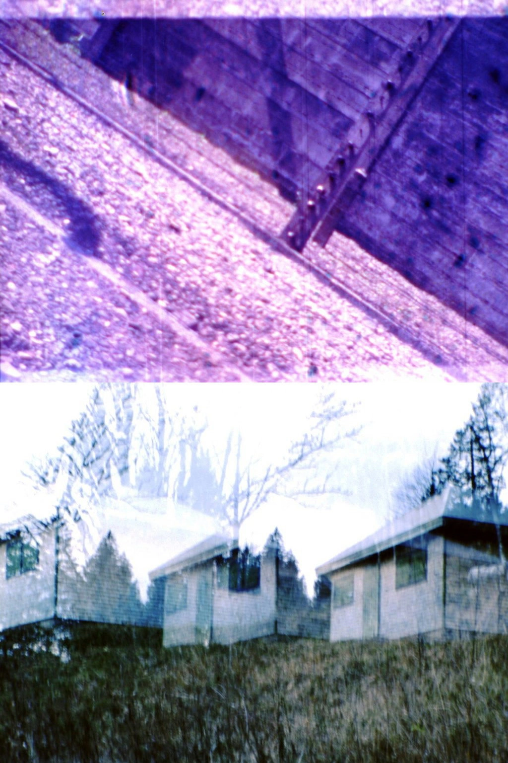 HEIDEGGER IN AUSCHWITZ