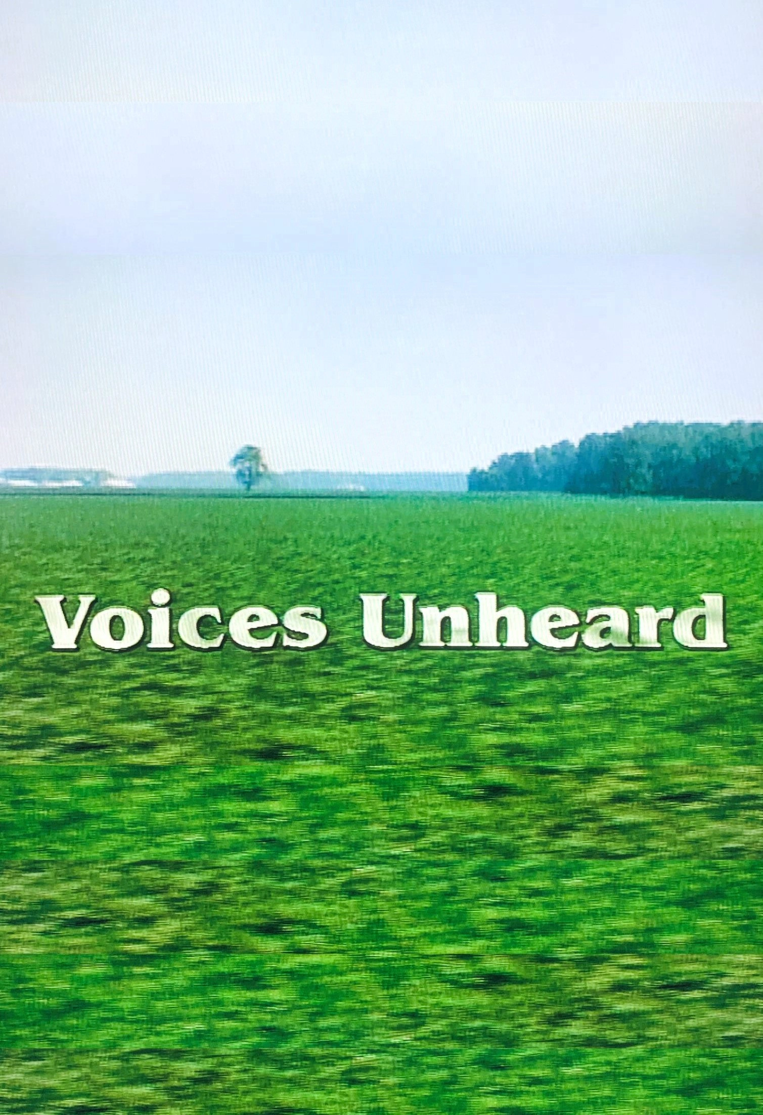 Voices Unheard