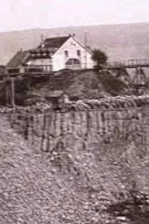 Dutch Basalt Company