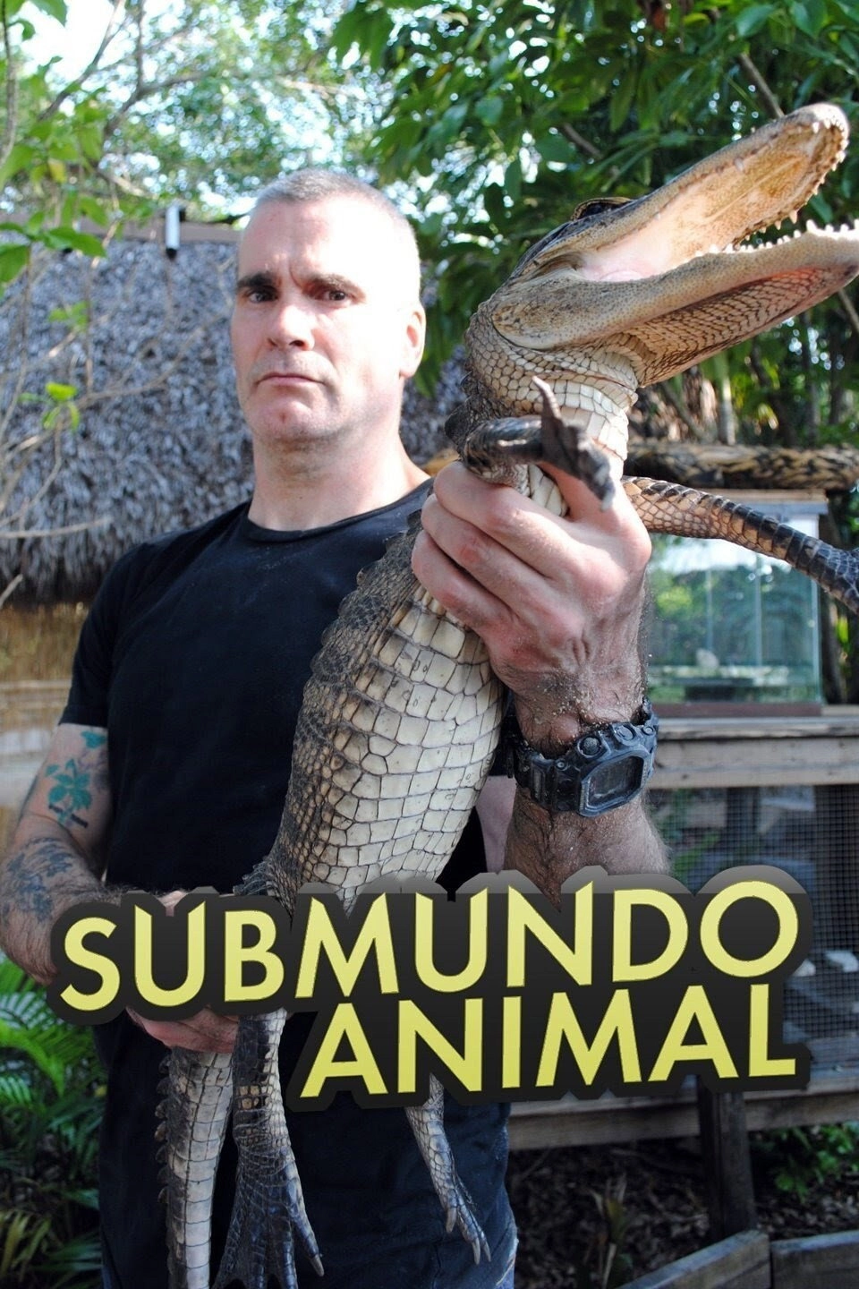 Animal Underworld