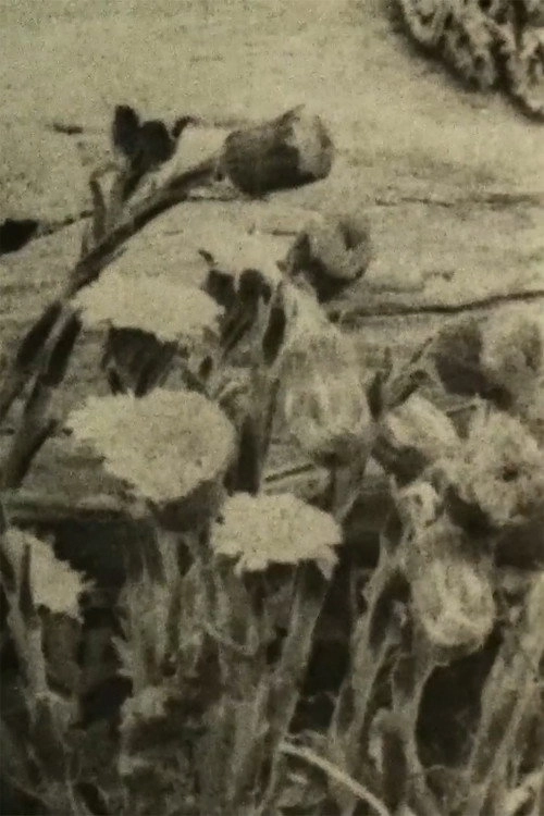 See Weeds