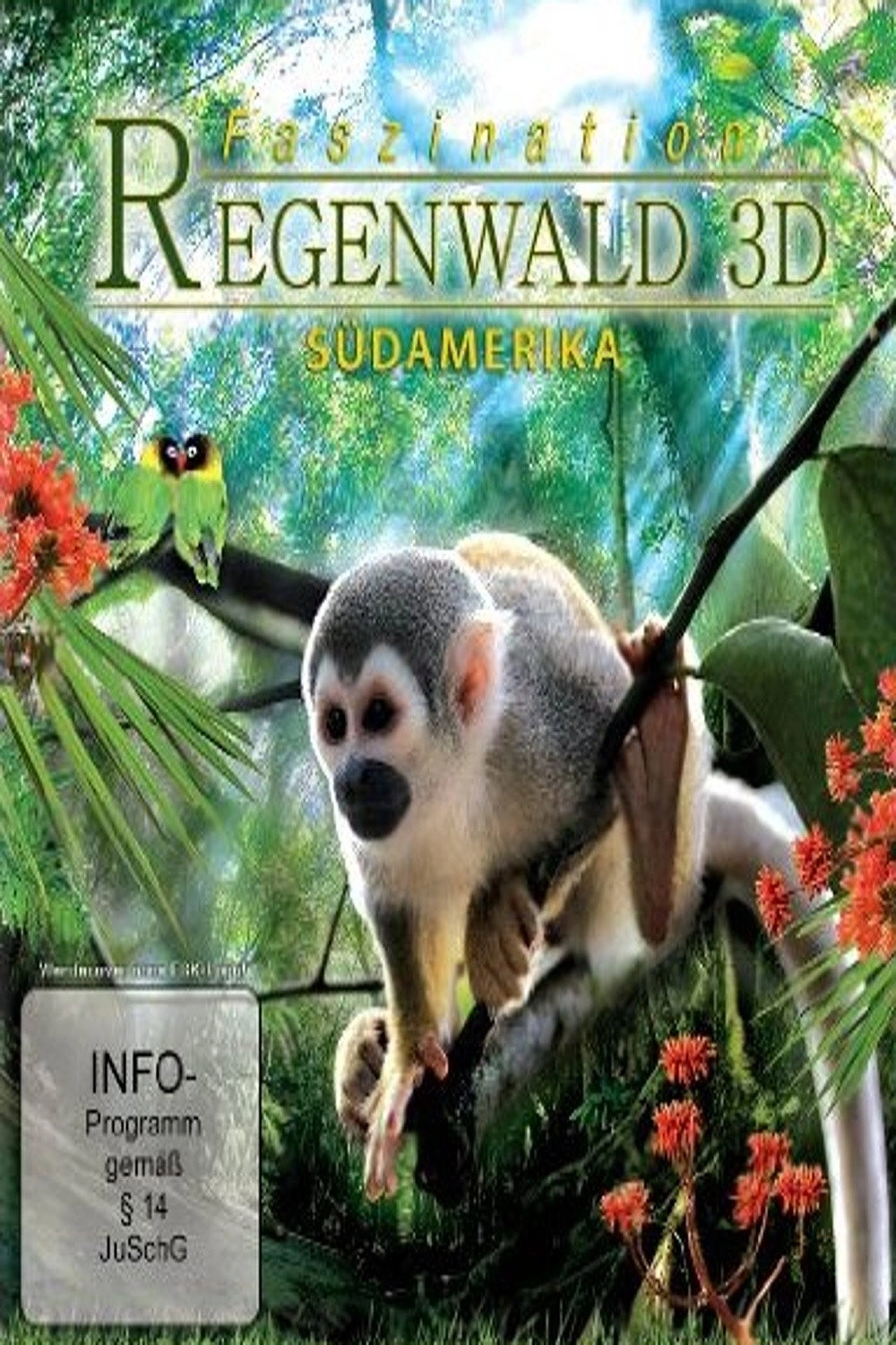 Faszination Südamerika - Regenwald 3D