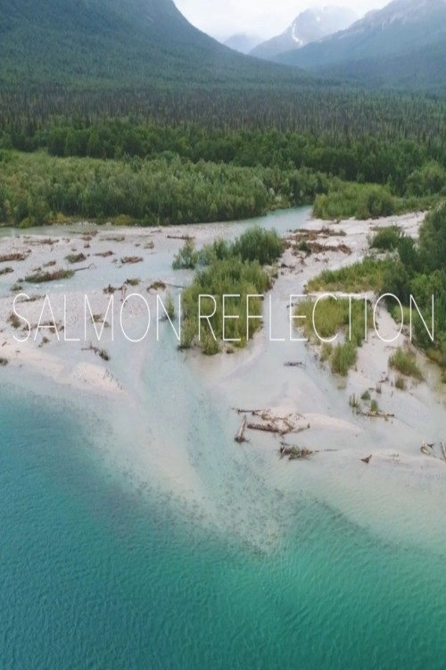 Salmon Reflection