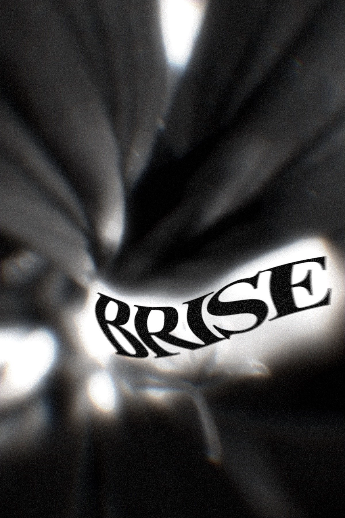 BRISE