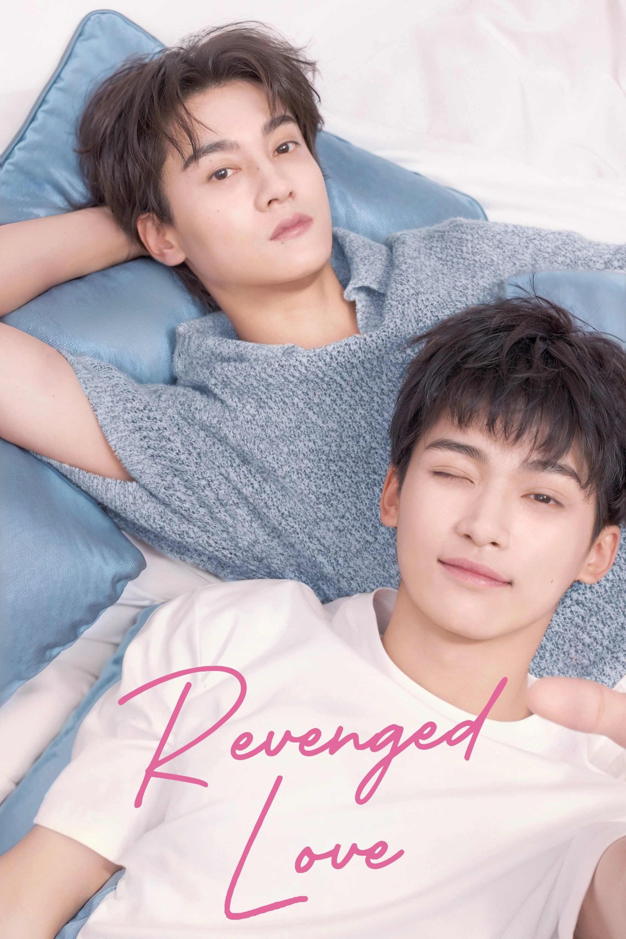 Revenged Love