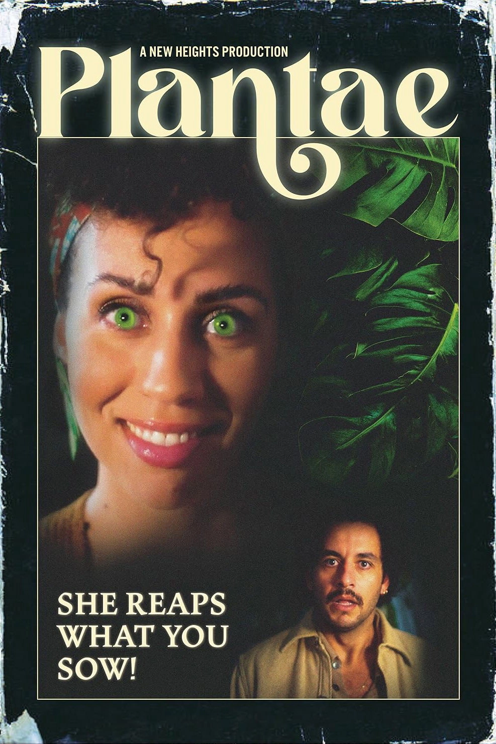 Plantae