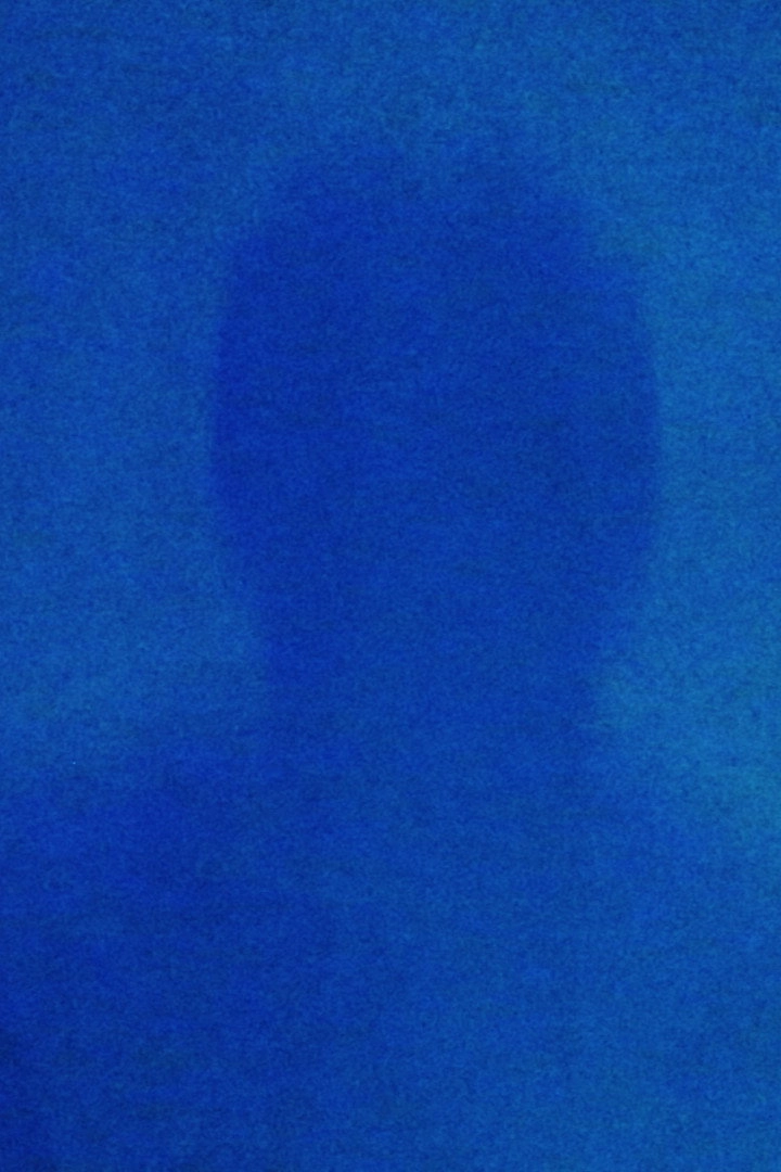 HOW TO DISAPPEAR COMPLETELY