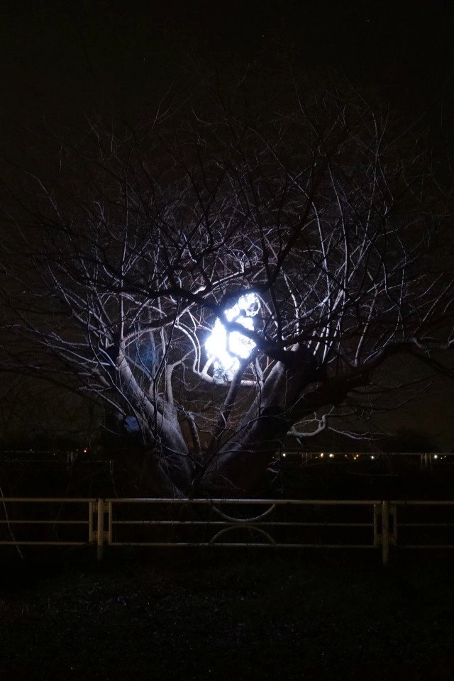 ILLUMINATOR