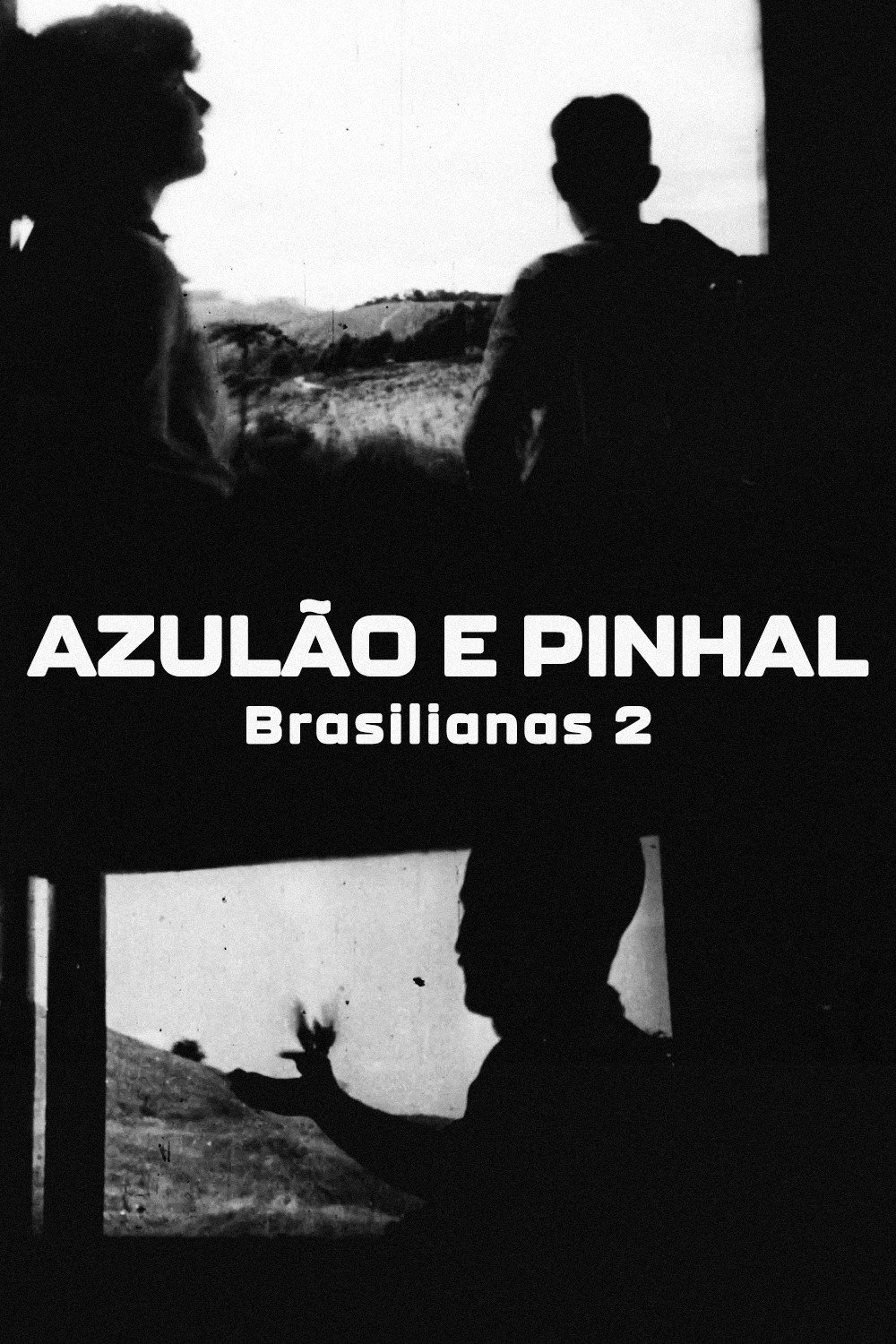 Azulão e Pinhal