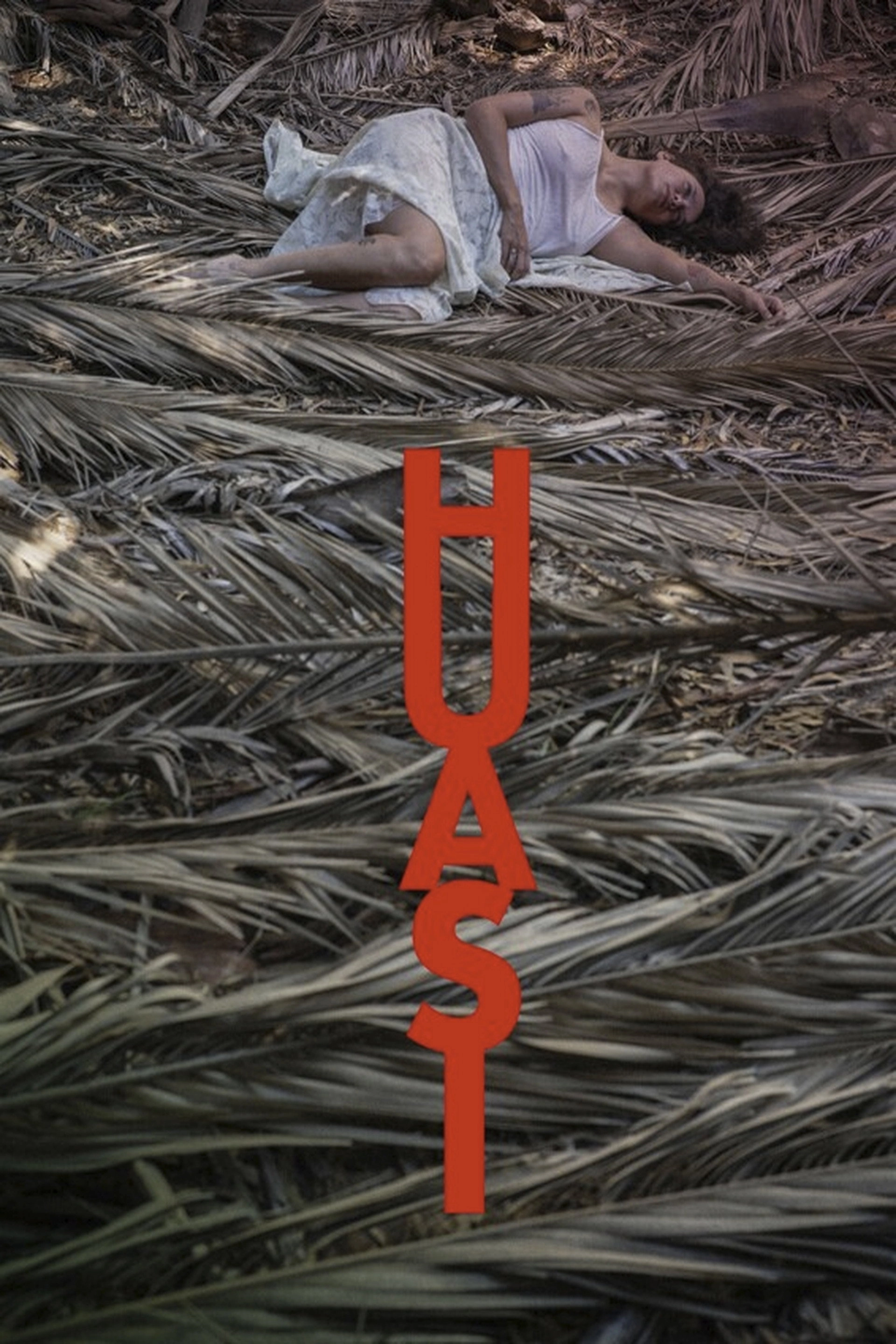 Huasi