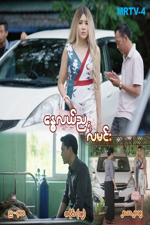 နွေလည်ညရဲ့လမင်း
