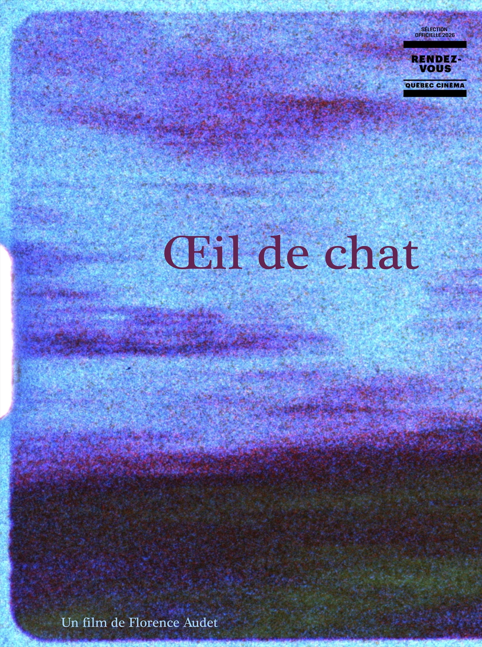 Oeil de chat