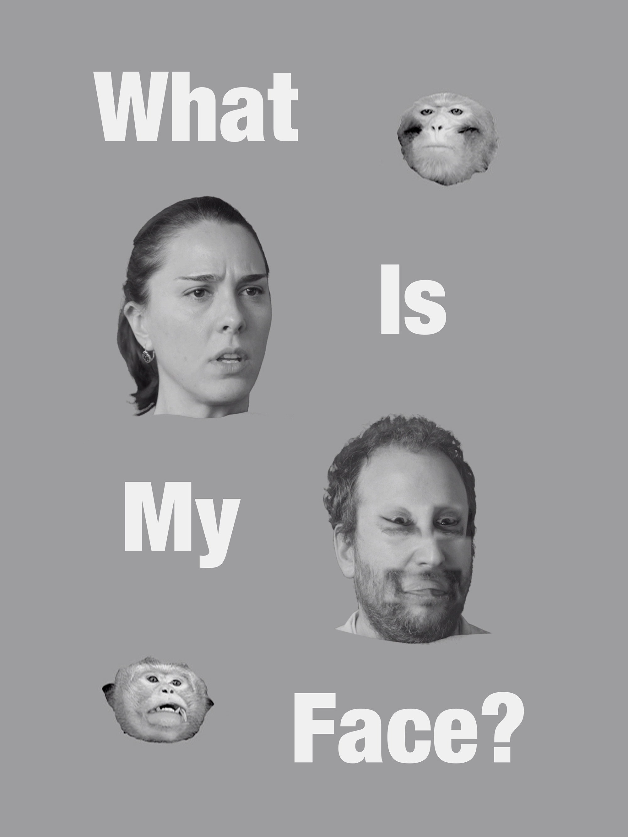 What Is My Face?