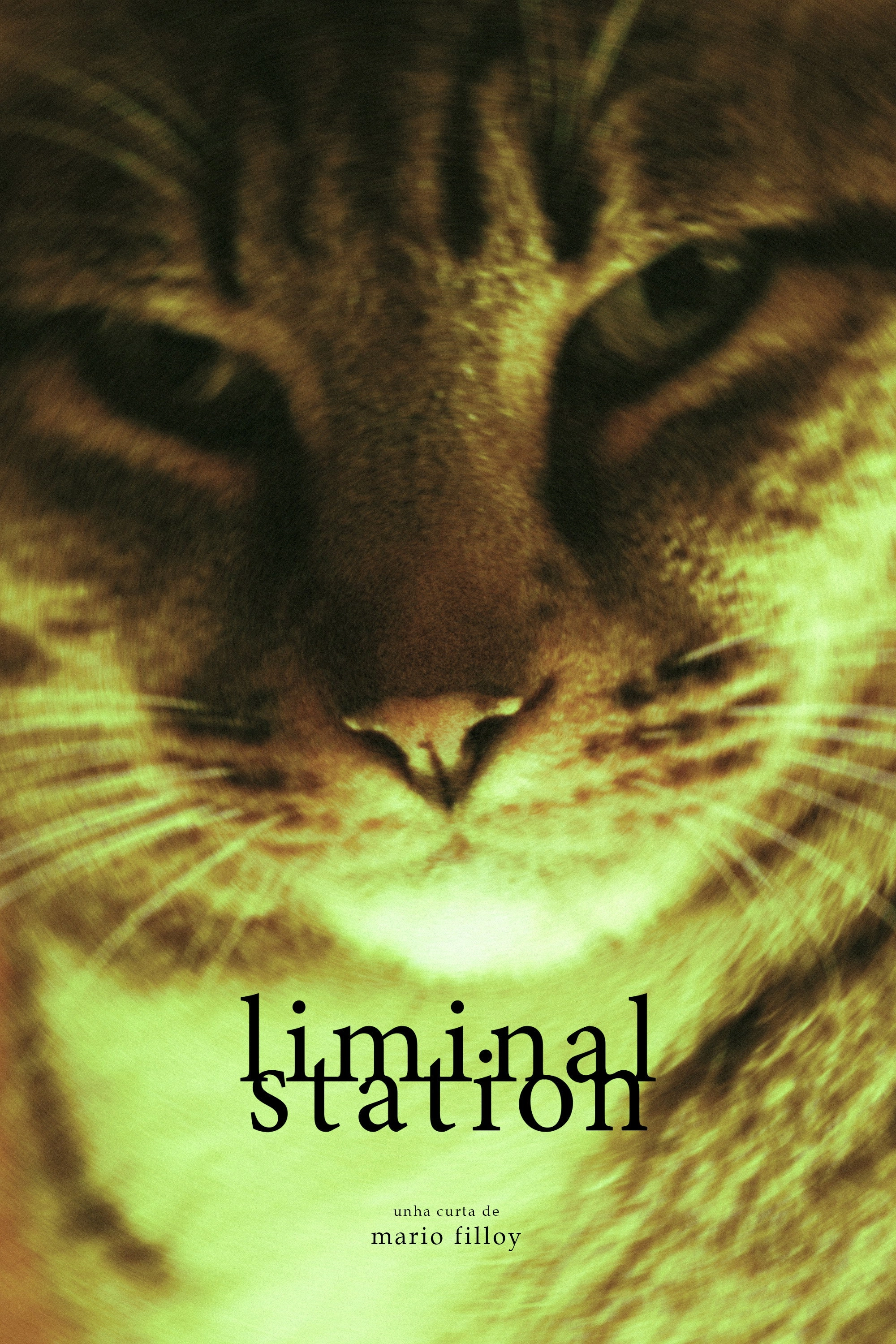 Liminal Station