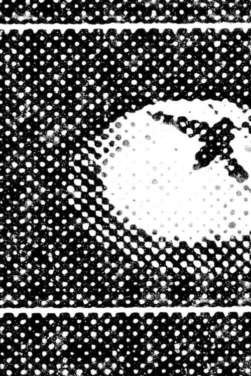 Moth Print