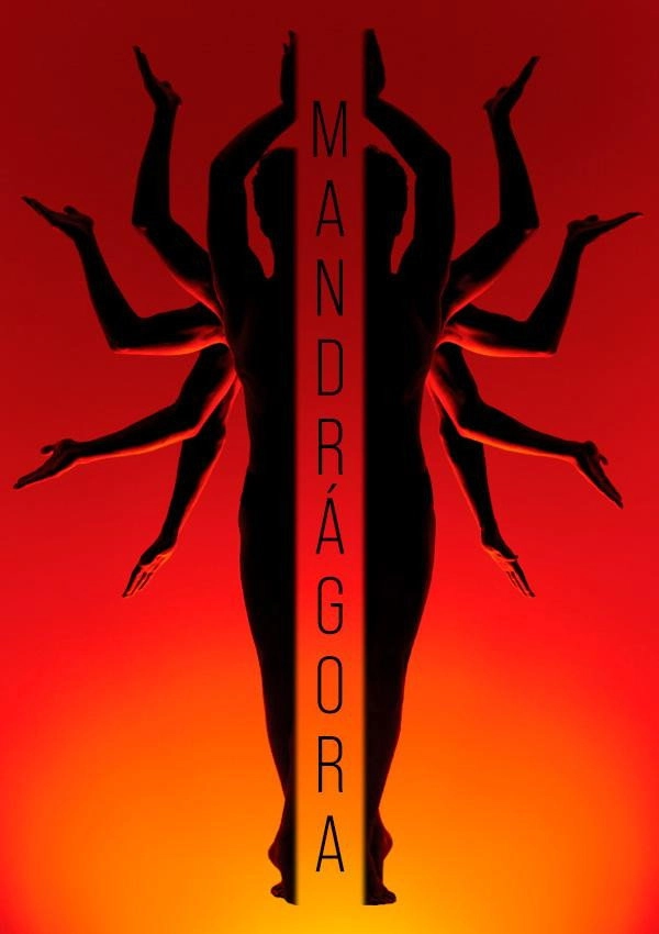Mandrake