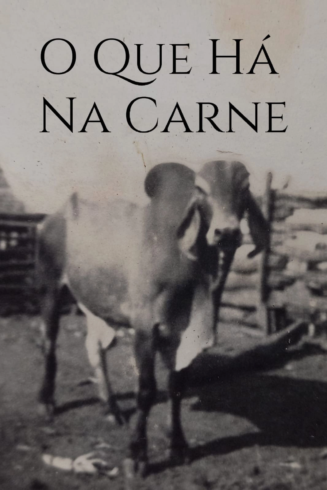 O Que Há Na Carne