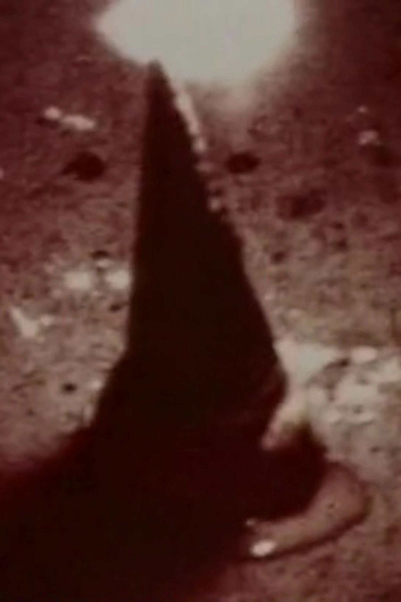 IS