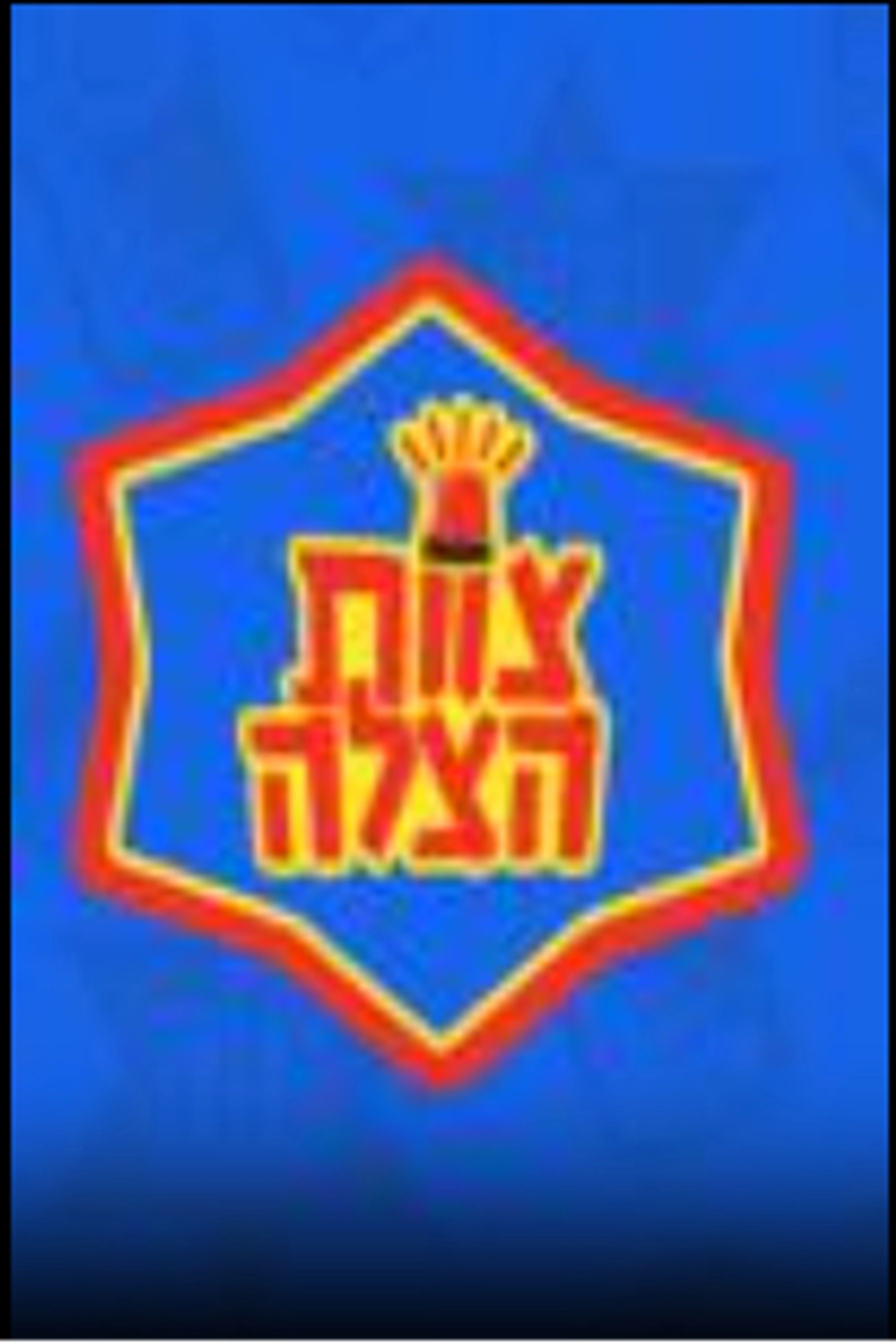 צוות הצלה
